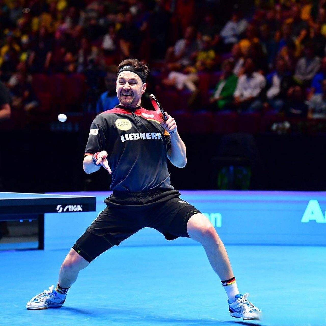 开云在线直播-瑞典队横扫德国队，波尔刷新纪录